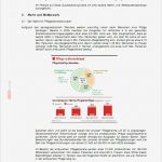 Businessplan Pflegedienst Vorlage Hübsch Businessplan Mobiler Pflege Nst