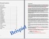 Businessplan Vorlage Excel Kostenlos Erstaunlich Ebay