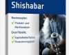 Businessplan Vorlage Pdf Angenehm Businessplan Shisha Bar