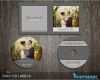 Cd Cover Vorlage Wunderbar Hochzeit Cd Cover Template Cd Label Vorlage Dvd Cover