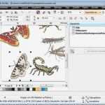 Corel Draw Vorlagen Download Bewundernswert Crack for Coreldraw Graphics Suite X6 [win Xp Vista 7 8