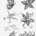 Corel Draw Vorlagen Download Kostenlos Angenehm 29 Schmetterling Tattoos Abosluter Hammer Sind