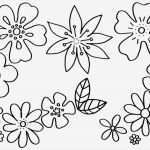 Corel Draw Vorlagen Download Kostenlos Inspiration Malvorlagen Blumen Kostenlose Ausmalbilder