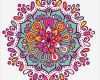 Corel Draw Vorlagen Download Kostenlos Inspiration Mandala Colorido Con formas Florales