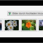 Css Bildergalerie Vorlagen Einzigartig Anpassen Einer Bildergalerie Variante über Css Ly