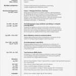 Cv Vorlage Englisch Bewundernswert Der Lebenslauf Curriculum Vitae Resume Focus Line