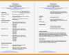 Cv Vorlage Englisch Cool 7 Curriculum Vitae Vorlagen