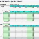 Dienstplan Krankenhaus Vorlage Genial Profit Loss Report Spreadsheet Findapp