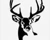 Dj Logo Vorlagen Angenehm Deer Black and White