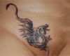 Drachen Tattoo Vorlagen Elegant Tattoo Vorlagen Schwarz Wei Katzen Tattoo Ideen U Motive