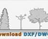 Dxf Vorlagen Erstaunlich Free Tree Drawing – Architektur Cad Baum Symbol Dwg Dxf