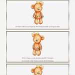 Ebay HTML Vorlage Beste Ebay Vorlage Teddy Magic Prince Relax Test