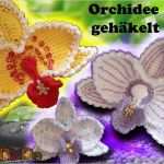 Ebook Vorlagen Kostenlos Genial Blumen Häkeln orchideen Häkeln Pdf Ebook