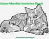 Ebook Vorlagen Kostenlos Genial Katzen Mandala Kostenlos Ebook Cats Mandala Free Ebook