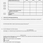 Ehrenamtspauschale Vorlage Muster Erstaunlich Niedlich Mitgliedschaft formular Vorlage Zeitgenössisch