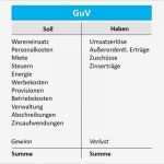 Einfache Gewinn Und Verlustrechnung Vorlage Erstaunlich Groß Einfache Gewinn Und Verlustrechnung Vorlage