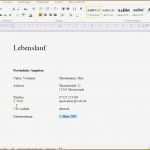 Einfacher Lebenslauf Vorlage Word Fabelhaft Niedlich Lebenslauf Kopieren Bilder Entry Level Resume