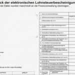 Einkommensteuererklärung Vorlage Inspiration Einkommensteuererklärung Und Lohnsteuer – Hsg – Economics