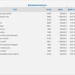 Einnahmen überschuss Rechnung Vorlage Neu Numbers Vorlage Einnahmen Überschuss Rechnung 2013 Mit Ust