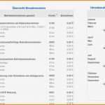 Einnahmen überschuss Rechnung Vorlage Pdf Erstaunlich 9 Einnahmen überschuss Rechnung Vorlage