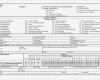 Empb Vorlage Excel Schönste Deckblatt Erstbemusterungsprüfbericht Vda