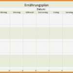 Ernährungsplan Vorlage Excel Schönste 13 Essensplan Vorlage