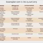 Ernährungsplan Vorlage Pdf Cool Ausgezeichnet Ernährungsplan Vorlage Ideen Ideen