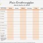 Ernährungsplan Vorlage Pdf Cool Ernährung Erfolgreich Umstellen Ernährungstagebuch Und