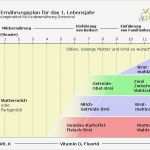 Ernährungsplan Vorlage Pdf Genial Kinder Und Jugendarzt Dr Rüdiger Mende