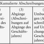 Eröffnungsbilanz Vorlage Erstaunlich 12 Anlagespiegel