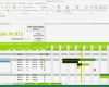 Excel Diagramm Vorlage Download Schön Projektplan Excel