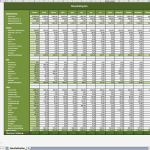 Excel Dienstplan Vorlage Schönste Haushaltsbuch