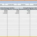 Excel Lagerverwaltung Vorlage Wunderbar 7 Lagerverwaltung Excel