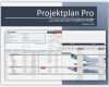 Excel Projektplan Vorlage Wunderbar Projektplan Pro