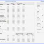 Excel Vorlage Immobilienbewertung Erstaunlich Fantastisch Kompetenzmatrix Vorlage Galerie Beispiel