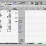 Excel Vorlage Strom Gas Wasser Erstaunlich Haushaltskasse Für Excel Pro Download