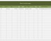 Excel Vorlagen Angenehm Versicherungsverwaltung Mit Excel