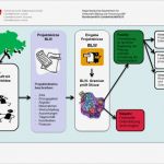 Fachunternehmererklärung Für Wärmepumpenanlagen Zur Vorlage Beim Bundesamt Cool Projekte Zur Regionalen Entwicklung