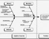 Fehlerbaumanalyse Vorlage Schön Erfreut Vorlage Für Fischgrätendiagramm Galerie