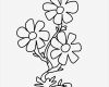 Fensterbilder Vorlagen Hübsch Coloring Pages Flowers Free S