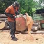 Figuren Aus Holz Sägen Vorlagen Elegant Kreativität Mit Der Kettensäge Kai Gerulat Chainsaw Carving