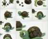 Fimo Vorlagen Elegant Tuto tortue Pate A Sucre Fimo Pinterest