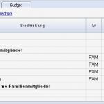 Finanzplan Haushalt Vorlage Angenehm Großzügig Familien Bud Vorlage Zeitgenössisch Bilder