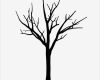 Fingerabdruck Baum Vorlage Angenehm Fingerabdruck Baum Vorlage &amp; andere Motive Kostenlos Zum