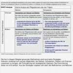 Firmenpapier Vorlage Angenehm 13 Swot Analyse Beispiel