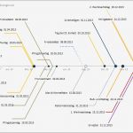 Fishbone Diagramm Vorlage Best Of Fishbone Excel Template