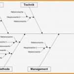 Fishbone Diagramm Vorlage Cool 8 ishikawa Diagramm