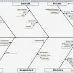 Fishbone Diagramm Vorlage Großartig Customize Qi Macros Fishbone Diagram Template