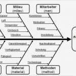 Fishbone Diagramm Vorlage Inspiration ishikawa Diagramm Vorlage Elegant Risikoanalyse Fmea