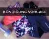 Fitnessstudio Kündigung Vorlage Elegant Kündigung Fitnessstudio Vorlage Text Word